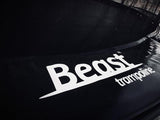The Amazing Spider Trampoline by Beast Trampolines (14 foot)