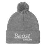 Official Beast Pom-Pom Beanie